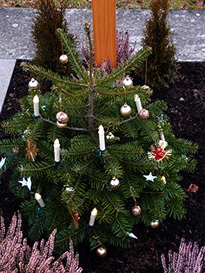 An Weihnachten 2015 mit einer kleinen geschmückten und beleuchteten Nordmanntanne.