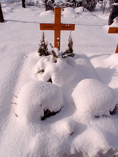 Am 17. Januar 2016, von hohem Schnee bedeckt.